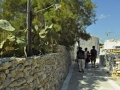 Panagia - Kato Koufonissi