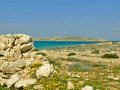 Koufonisia on a Path