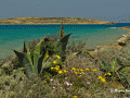 Koufonisia on a Path
