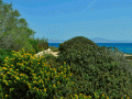 Koufonisia on a Path