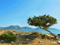 Koufonisia on a Path