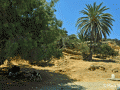 Nero Beach - Kato Koufonissi