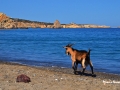 on Nero Beach