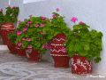 Koufonisia Corner