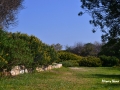 on Koufonissi
