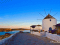 Windmill Above the Harbour