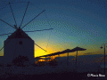 Windmill Above the Harbour