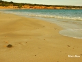 Fanos Beach - Koufonissia
