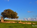 Koufonisia Wintertime