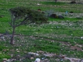 Koufonissia on Wintertime