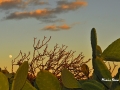 Full Moon on Sunset - Koufonissia