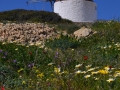Windmill - koufonissia
