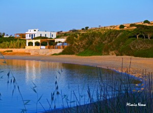 Finikas tavern Finikas tavern