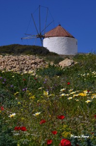 Open Koufonissia Wintertime Photo Gallery Open Koufonissia Wintertime Photo Gallery