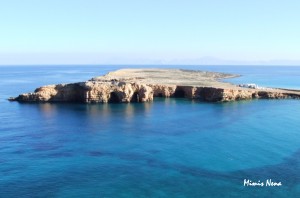 Xilombatis